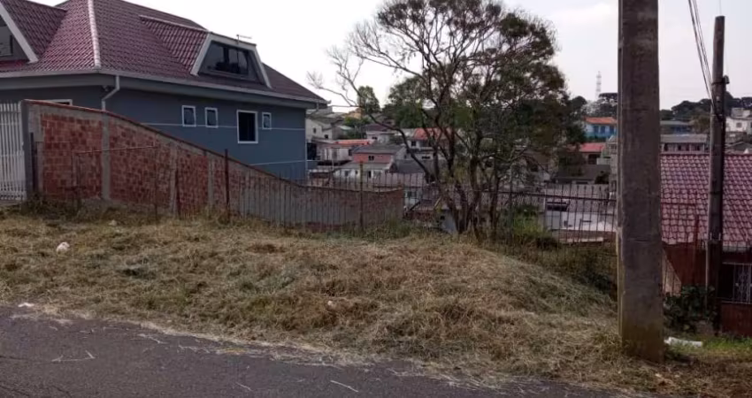 Terreno à venda na Rua Edwirges Grochoska Cichon, 189, Pinheirinho, Curitiba