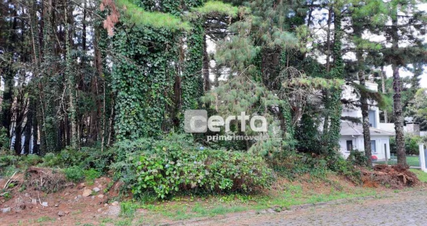 Terreno Residencial à venda, Vila Suzana, Canela - TE0553.