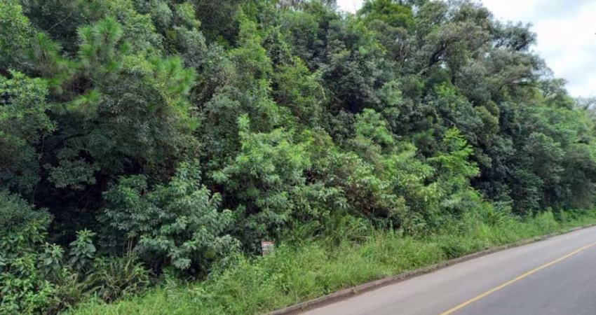 Terreno à venda, 1200 m² por R$ 535.900,00 - Alpes Verdes - Canela/RS