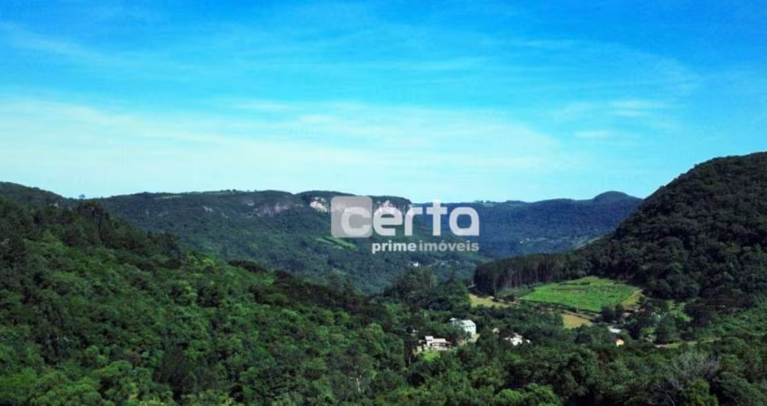 Terreno à venda, 5800 m² - Linha Furna - Gramado/RS