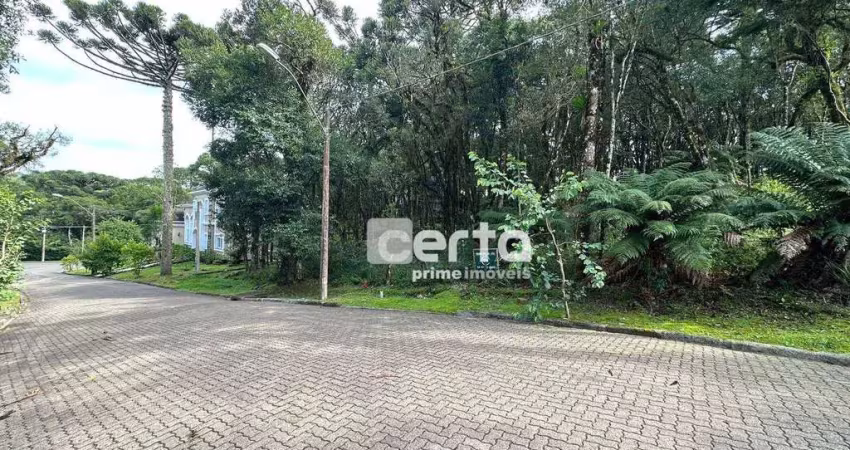 Terreno à venda, 744 m² por r$ 630.000,00 - pinheiro grosso - canela/rs