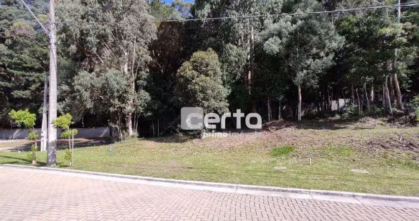 Terreno à venda, 369 m² - mirante do vale - canela/rs