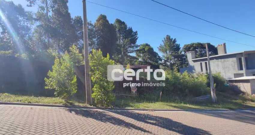 Terreno à venda, 366 m² - mirante do vale - canela/rs