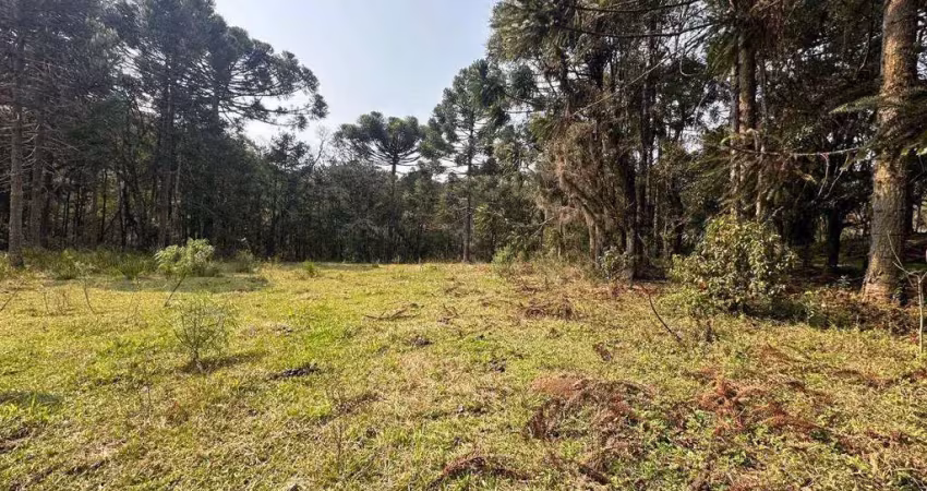Terreno à venda no Caracol, Canela 