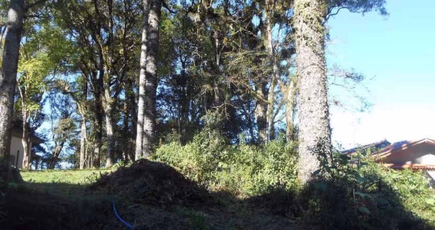 Terreno à venda, 379 m² - Palace Hotel - Canela/RS