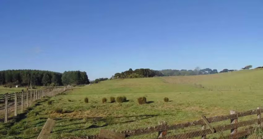 Terreno à venda no Saiqui, Canela 