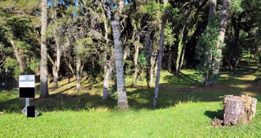 Terreno Residencial à venda, Altos Pinheiros Canela