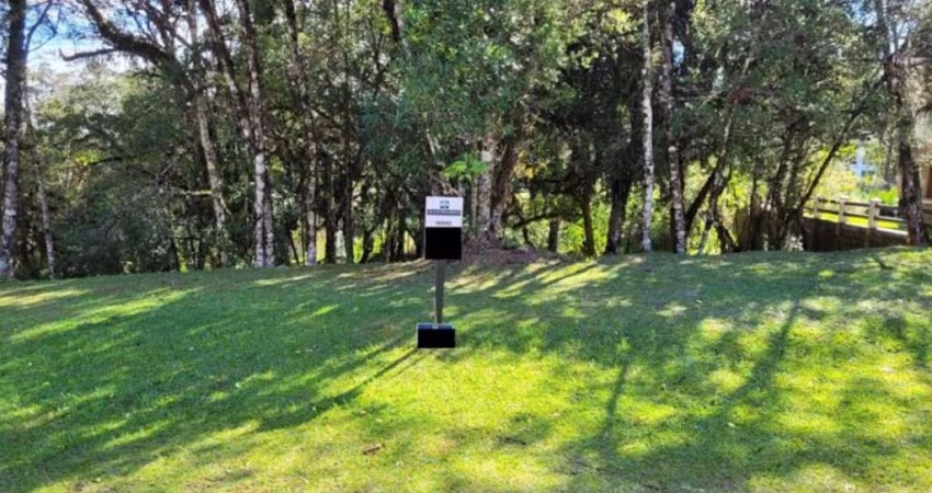 Terreno Residencial à venda, Altos Pinheiros Canela