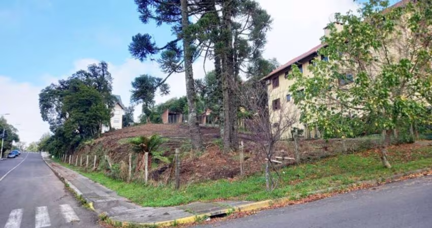 Terreno Residencial à venda, Vila Maggi, Canela - TE0375.