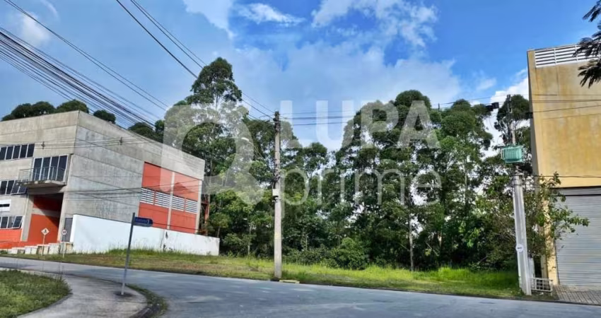 TERRENO COMERCIAL COM 1.080M² PARA VENDA, JARDIM HELENA MARIA, VARGEM GRANDE PAULISTA