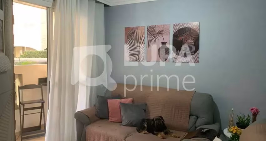Apartamento com 3 dormitórios sendo 1 suíte á venda lauzane paulista são paulo