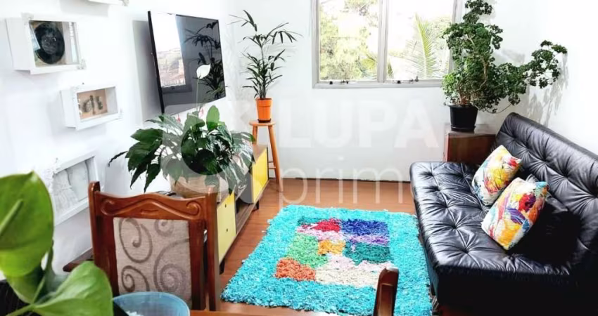 Apartamento com 2 dormitórios á venda em Santana.