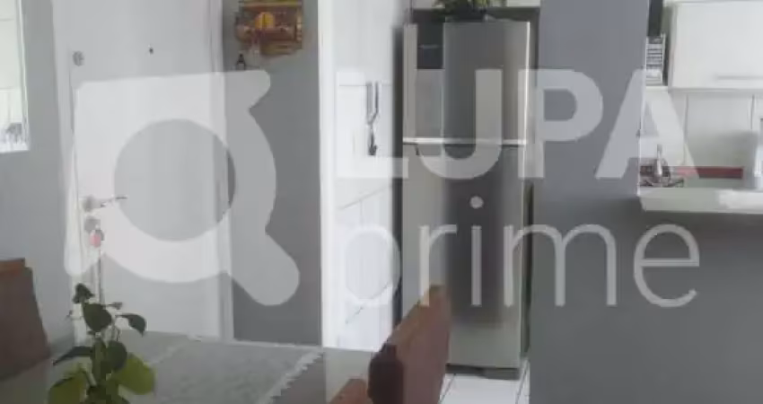 Apartamento com 2 dormitórios á venda no parque novo mundo