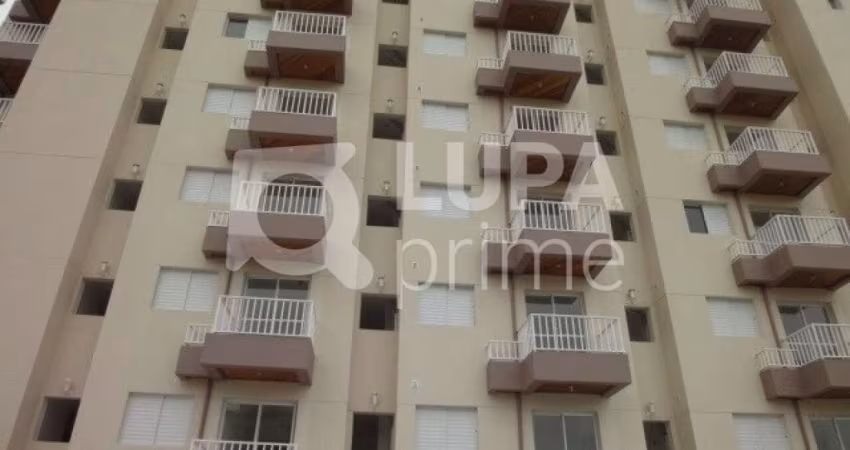 Apartamento com 1 dormitório para locação no Jardim Paraíso