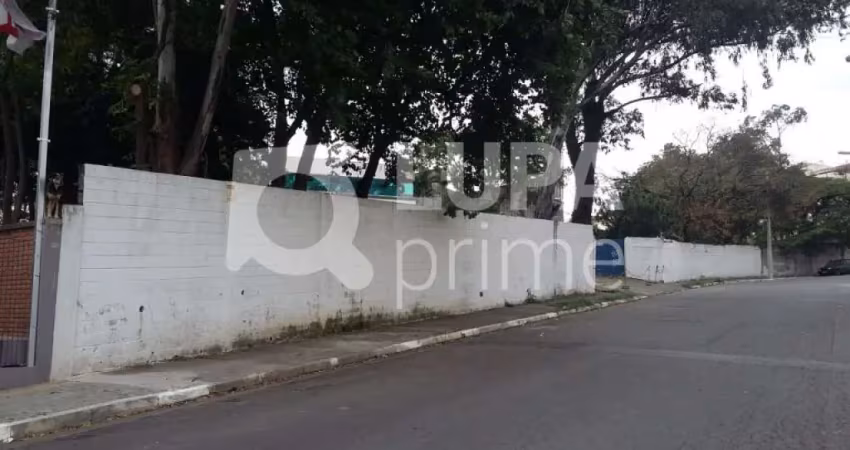 Barracão / Galpão / Depósito à venda na Rua Professor Alves Pedroso, 452, Cangaíba, São Paulo