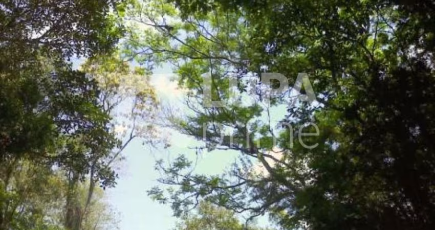 Terreno à venda na Serra da Cantareira!