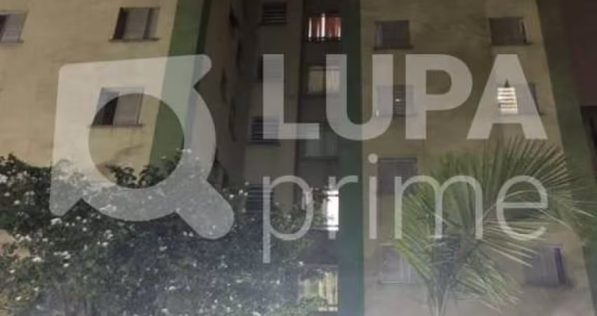 Apartamento com 2 dormitórios á venda na Vila Bela Vista