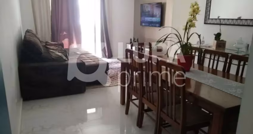 Apartamento com 3 dormitórios sendo 1 suíte á venda no jardim leonor mendes