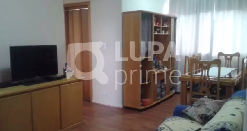 Apartamento- vila paulicéia-2 dormitórios, 1 sala,2 banheiros,1 vaga-  66m²