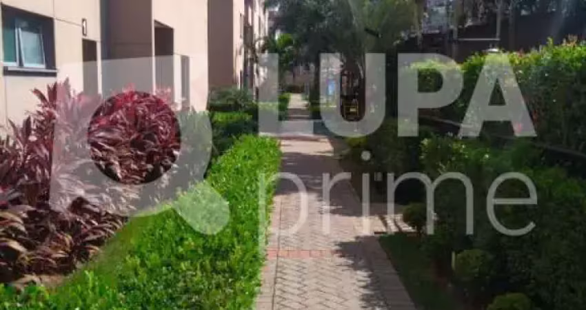 Apartamento com 2 quartos à venda na Rua Vitalina Moura, 180, Vila Roque, São Paulo