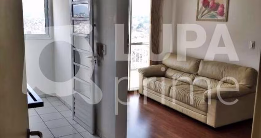Apartamento com 3 quartos a venda na Vila Amália, Mandaqui