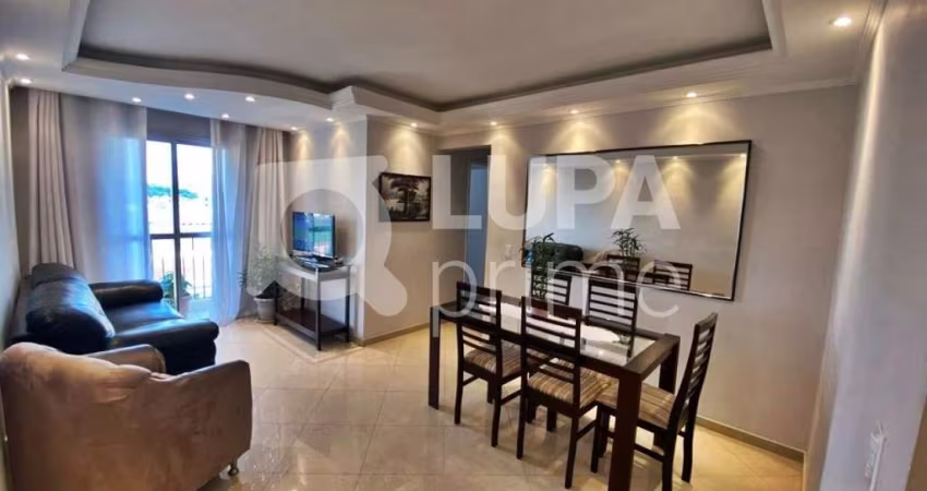 APARTAMENTO COM 3 QUARTOS E 1 VAGA PARA VENDA, VILA ANTONIETA, SÃO PAULO