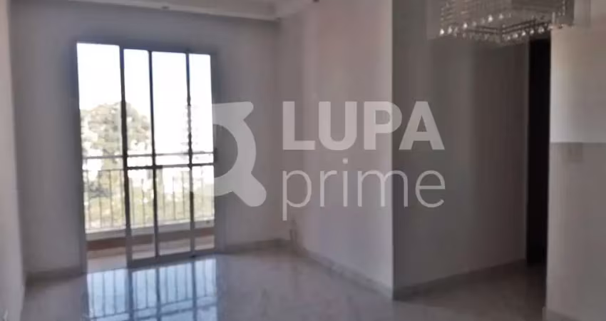 Apartamento com 3 quartos para locação, vila maria alta, são paulo