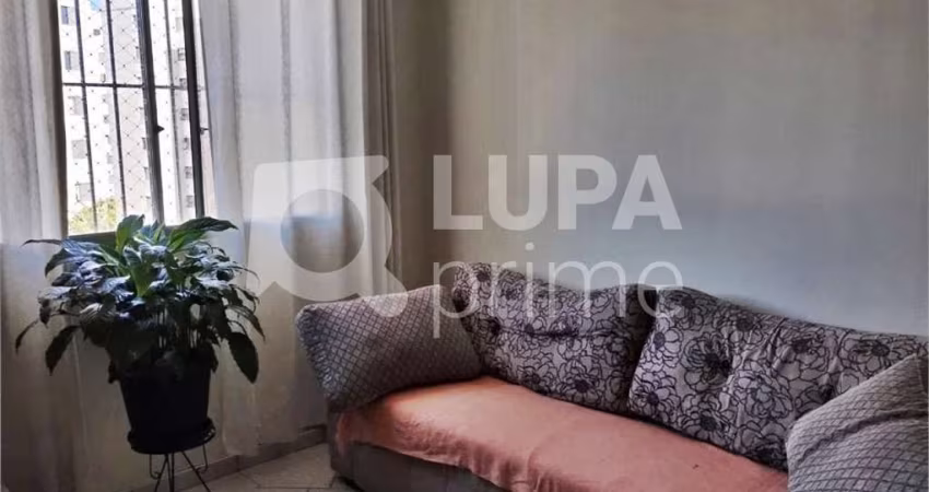 APARTAMENTO COM 2 QUARTOS E 1 VAGA DE GARAGEM À VENDA NO MANDAQUI