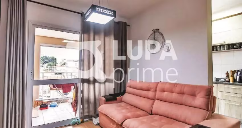 Apartamento com 3 quartos e 1 vaga de garagem para locação na vila guilherme
