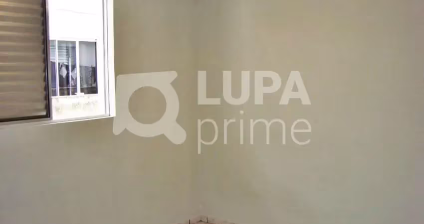 Casa com 1 quarto para alugar na Rua Alves Cardoso, 194, Vila Maria Alta, São Paulo