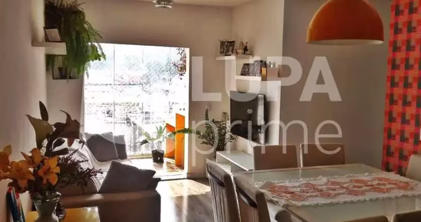 Apartamento com 3 quartos e 1 vaga de garagem à venda na vila constança