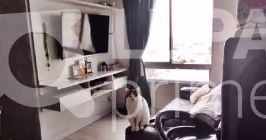 Apartamento com 2 quartos e 1 vaga de garagem à no parque novo mundo