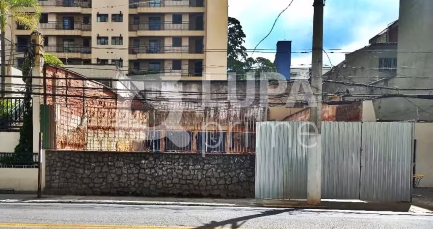 Terreno comercial para alugar na Avenida Nova Cantareira, 1445, Tucuruvi, São Paulo
