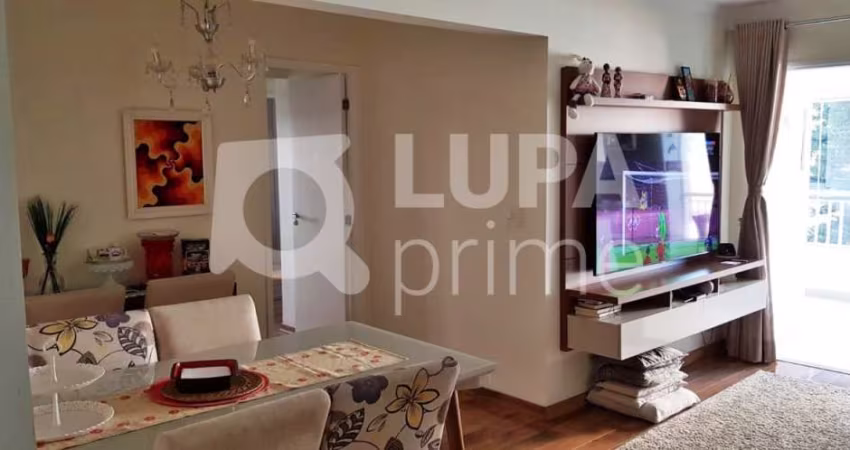 APARTAMENTO COM 3 QUARTOS PARA VENDA, ALTO DA MOOCA, SÃO PAULO