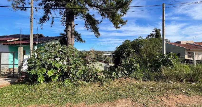 Terreno à venda, 355 m² por R$ 110.000,00 - Campestre - São Leopoldo/RS