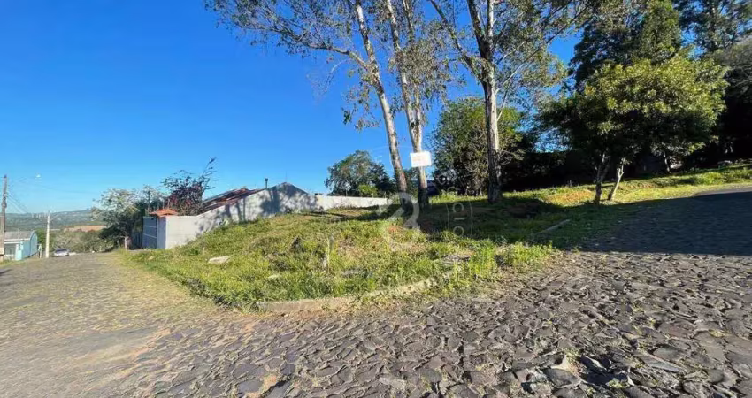 Terreno à venda, 220 m² por r$ 169.900,00 - campestre - são leopoldo/rs