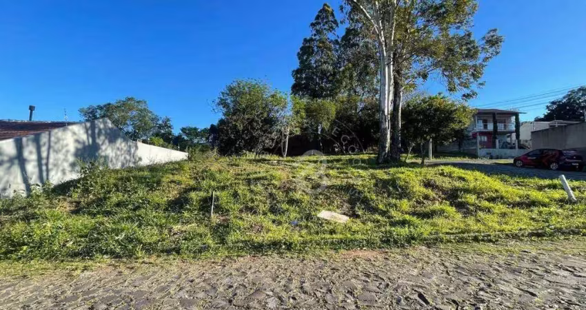 Terreno à venda, 220 m² por r$ 169.000,00 - campestre - são leopoldo/rs