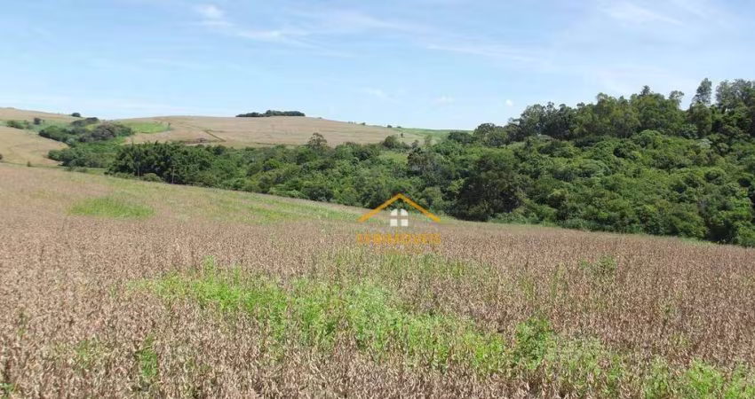 Fazenda à venda, 145200 m² por R$ 1.500.000 - Monte Verde - Santo Antônio da Platina/PR