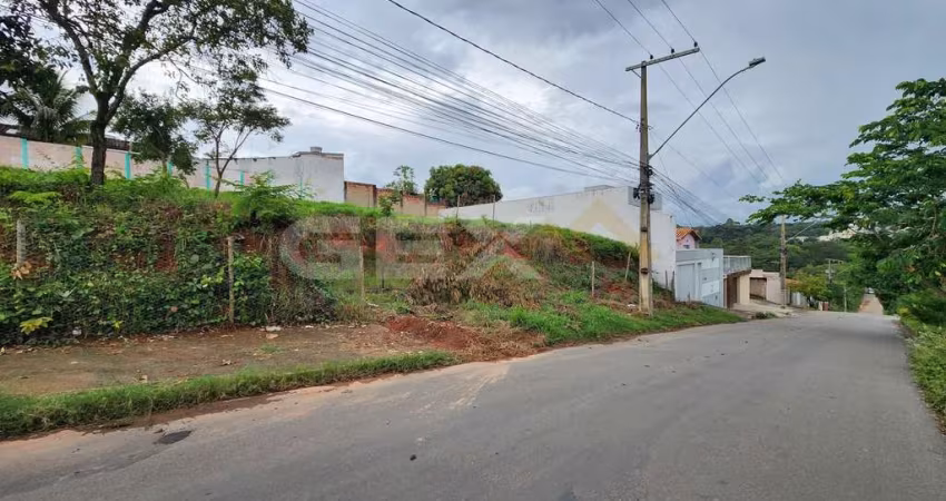 Lote à venda no bairro Floresta com 220 m².