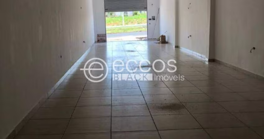 Galpão para aluguel, Loteamento Residencial Pequis - Uberlândia/MG