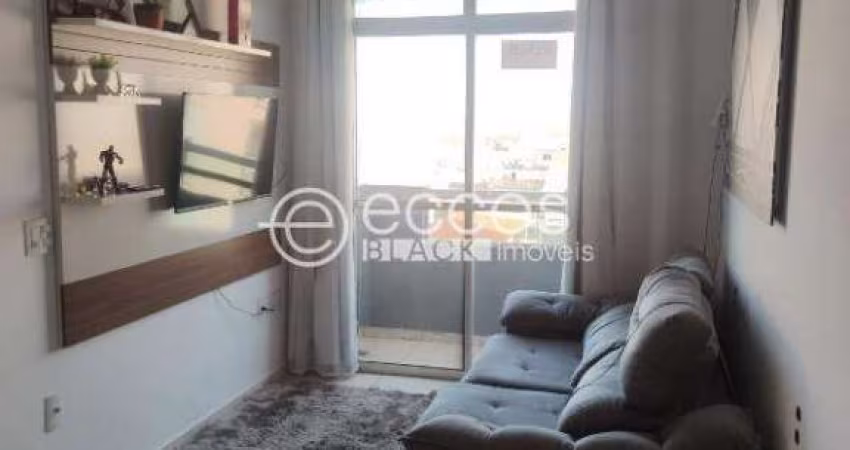 Apartamento à venda, 2 quartos, 1 suíte, 1 vaga, Laranjeiras - Uberlândia/MG