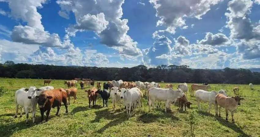 Fazenda à venda, 4 quartos, 1 suíte, zona rural - campo florido/mg
