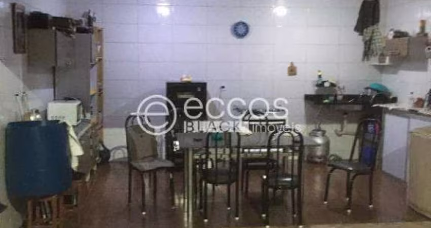 Casa à venda, 2 quartos, 2 vagas, Shopping Park - Uberlândia/MG