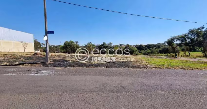 Terreno à venda na Avenida dos Siquieroli, --, Jardim América I, Uberlândia