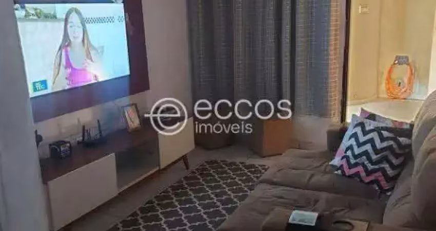 Casa à venda, 2 quartos, 4 vagas, Vieno - ARAGUARI/MG