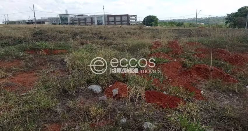 Terreno à venda na Rua Walter Marques, 96, Sibipiruna, Araguari