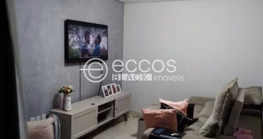 Casa à venda, 2 quartos, 2 suítes, 1 vaga, Vigilato Pereira - Uberlândia/MG