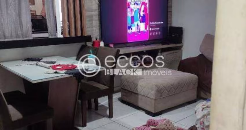 Casa à venda, 2 quartos, 2 vagas, Shopping Park - Uberlândia/MG