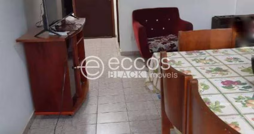 Apartamento à venda, 3 quartos, 1 suíte, 1 vaga, Segismundo Pereira - Uberlândia/MG