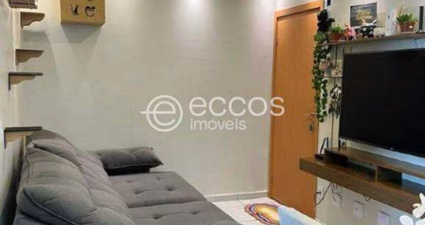 Apartamento à venda, 2 quartos, 1 vaga, Jardim Patrícia - Uberlândia/MG